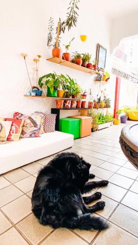 zili pernambuco hostel and coworking