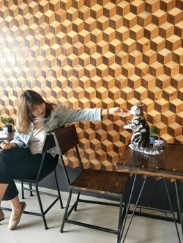 jaidee cafe and hostel chiangrai