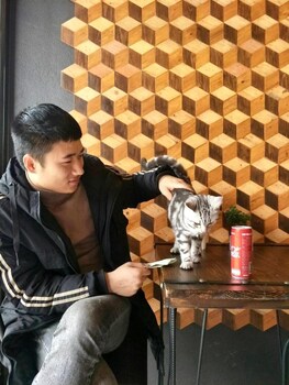 jaidee cafe and hostel chiangrai