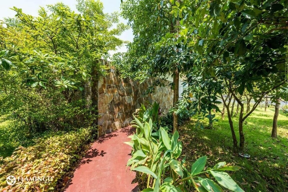 phuc yen