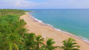 ashansa lagoon resort