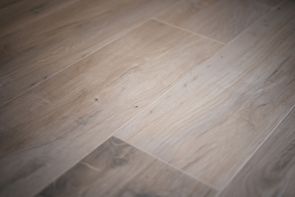 6thland rent rooms la spezia