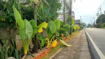 ingpha room for rent