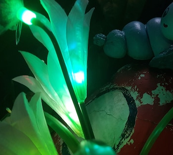 ingpha room for rent