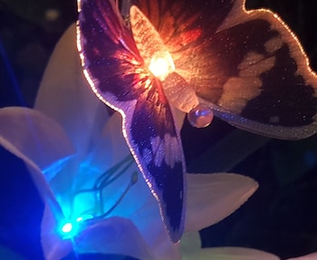 ingpha room for rent