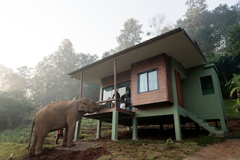 chiang mai elephant friends