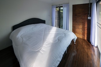 chiang mai elephant friends