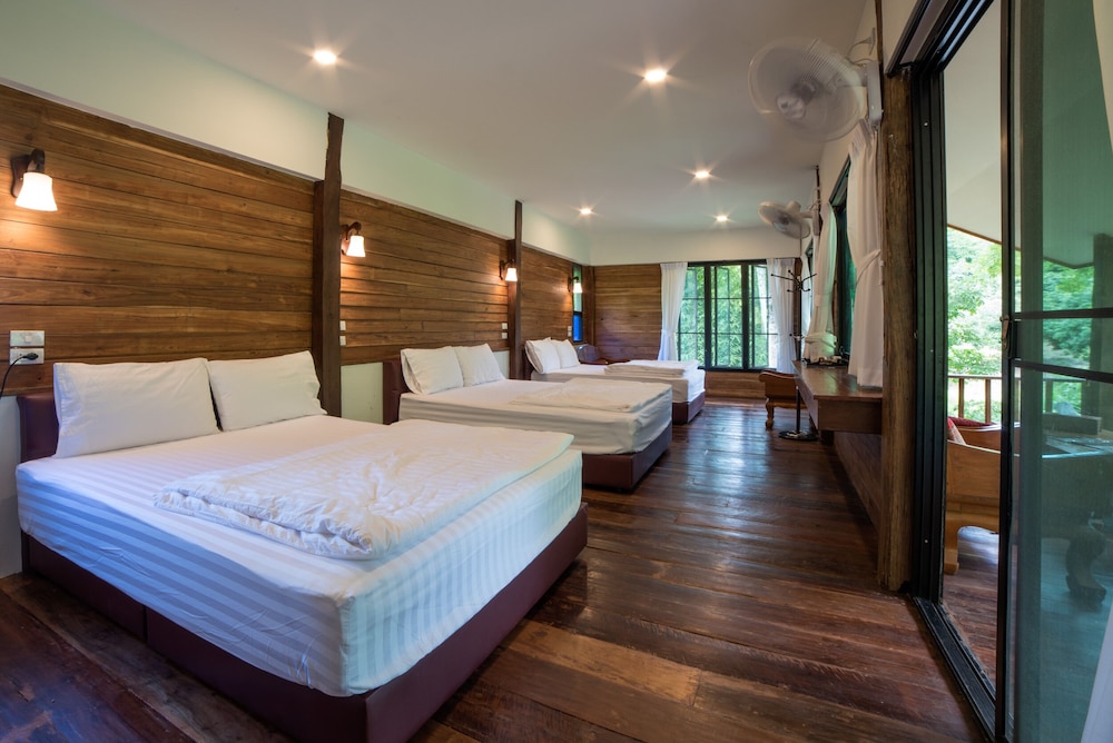 chiang mai elephant friends