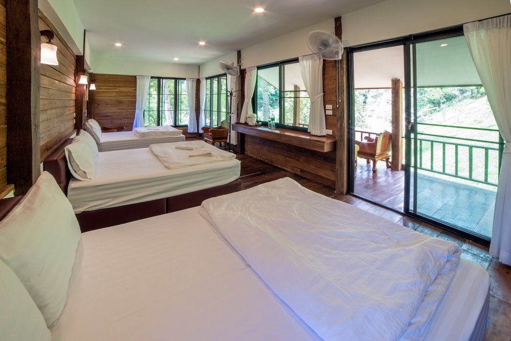 chiang mai elephant friends