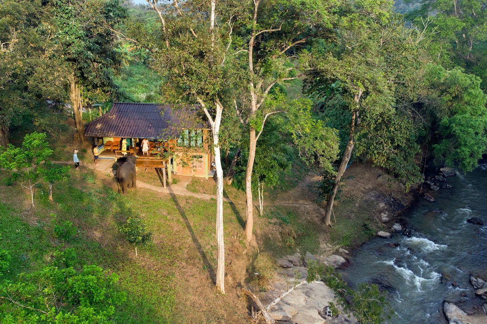 chiang mai elephant friends