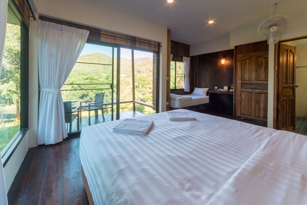 chiang mai elephant friends