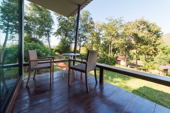 chiang mai elephant friends