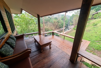 chiang mai elephant friends