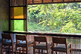 chiang mai elephant friends