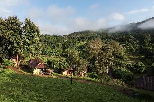 chiang mai elephant friends