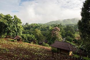 chiang mai elephant friends
