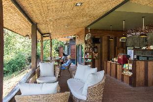 chiang mai elephant friends