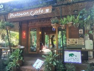 chiang mai elephant friends