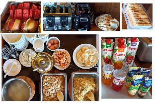 chiang mai elephant friends