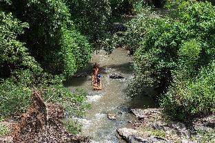 chiang mai elephant friends