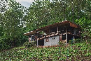 chiang mai elephant friends