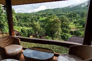 chiang mai elephant friends