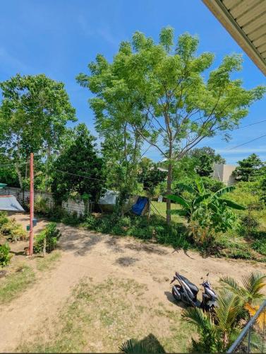 charlina rooms for rent