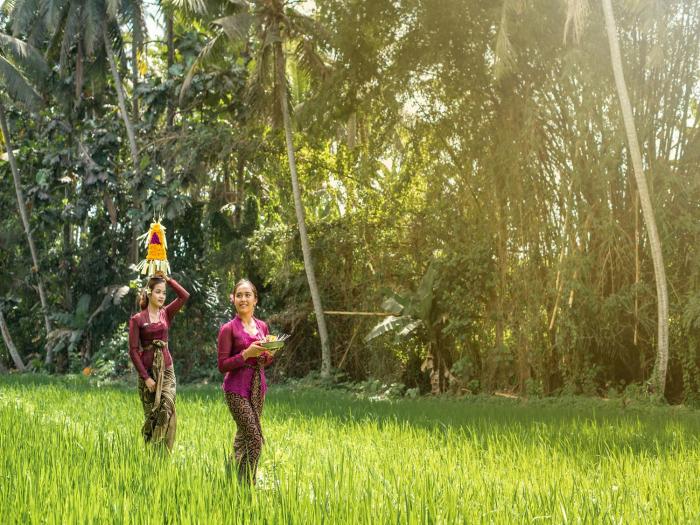 the kalyana ubud resort