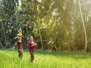 the kalyana ubud resort