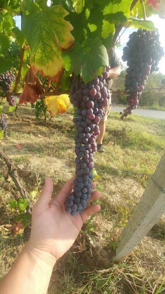 agriturismo ridaroca