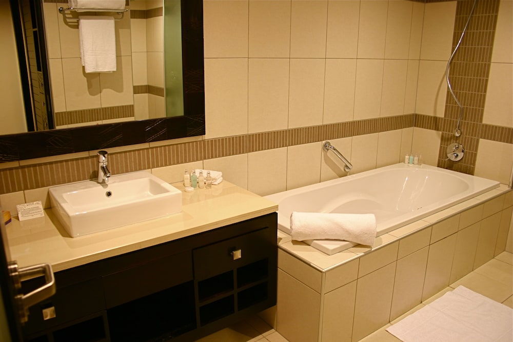 mount meru hotel