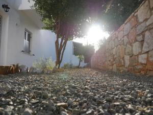 syros