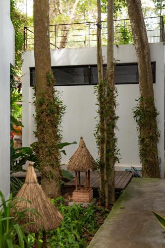 big tree boutique hotel