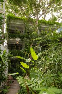 big tree boutique hotel