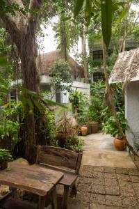 big tree boutique hotel