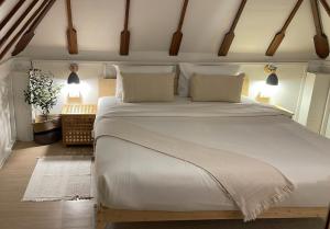 big tree boutique hotel