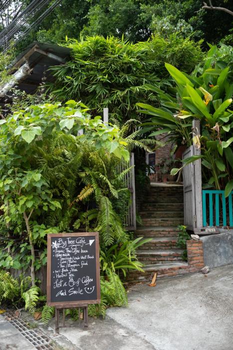 big tree boutique hotel