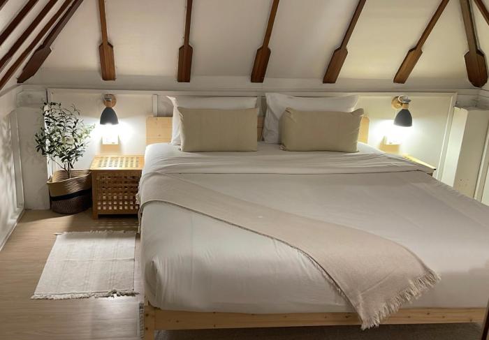 big tree boutique hotel