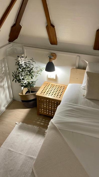 big tree boutique hotel