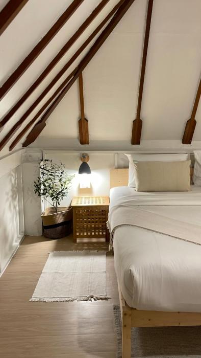 big tree boutique hotel