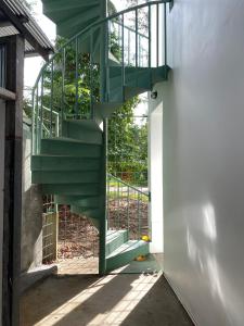 big tree boutique hotel