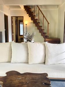 big tree boutique hotel