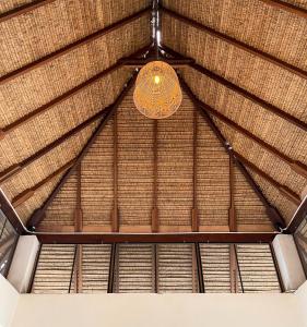 big tree boutique hotel