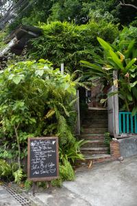 big tree boutique hotel