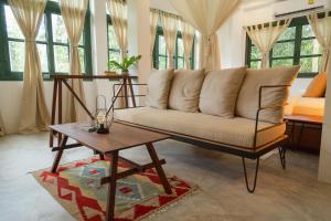 big tree boutique hotel