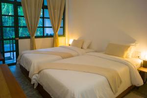 big tree boutique hotel