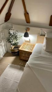 big tree boutique hotel