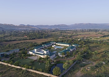 tree of life sariska manor sariska