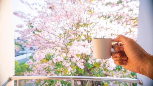 the willing hotel and residence