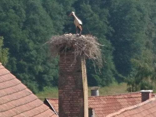 pension landhaus fischer